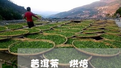 普洱茶 烘焙/2023042946836